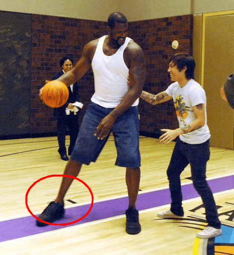 争冠队都无 争冠队都无